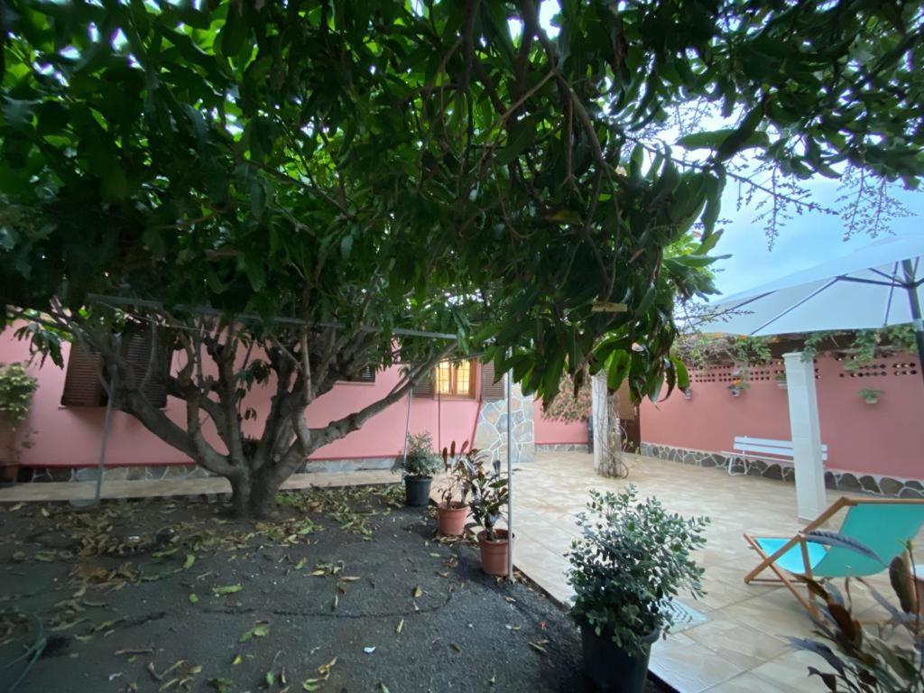 Casa Pepa Y Argeo Villa Mazo Eksteriør billede
